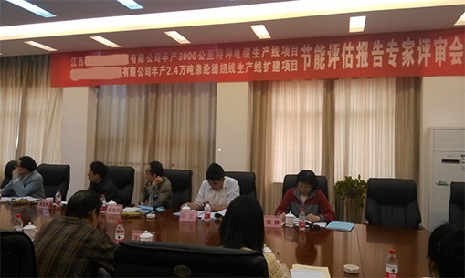 半岛电竞（中国）报告完成专家评审